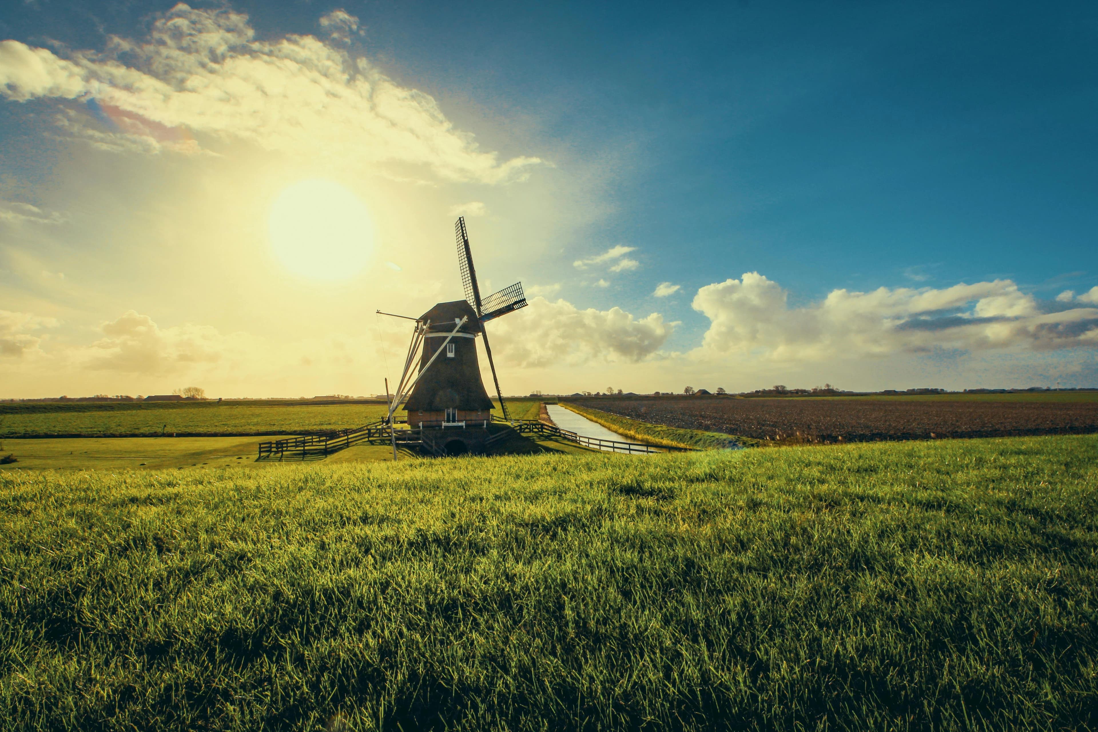 Lowlands Lockout: New Dutch Government Declares Total War on Betting - Regulatory iGaming news