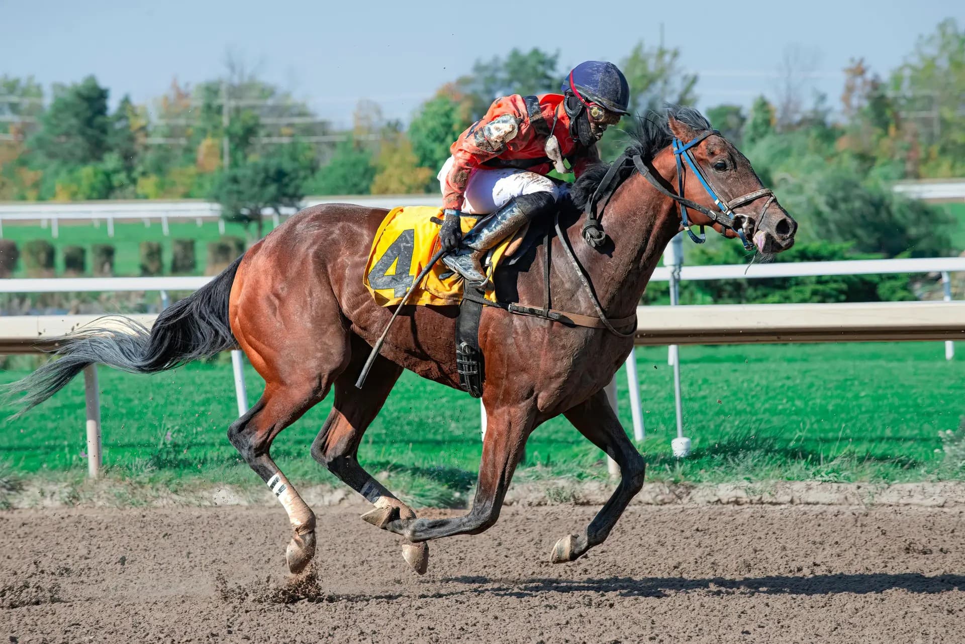 UK Horseracing Fights 'Catastrophic' Gambling Tax Harmonisation Proposal - Sports Betting iGaming news